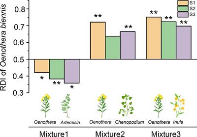 Effects of salt stress on interspecific competition between an invasive alien plant Oenothera biennis and three native species